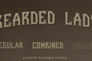 Bearded Lady: A Vintage Display Font for Web Design