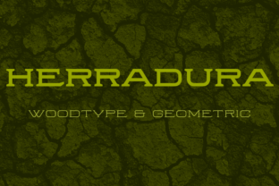 Herradura Family: A Bold Display Font for Modern Web Design