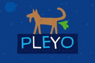 Pleyo: A Real-World Review for Branding Projects