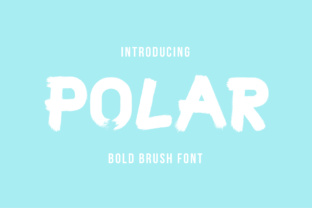 Polar: A Crisp Display Font for Editorial Design