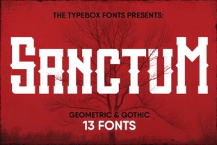 Sanctum Inky Collection: A Designer's Real-World Review