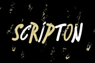 Scripton: The Urban Display Font for Bold Campaigns