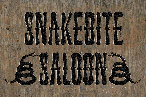 Snakebite Saloon: The Perfect Display Font for Campaigns