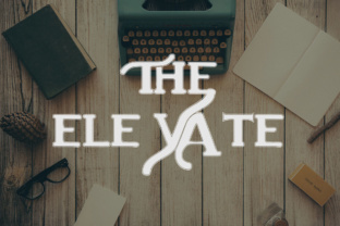 The Elevate: A Premium Display Font for Web Design